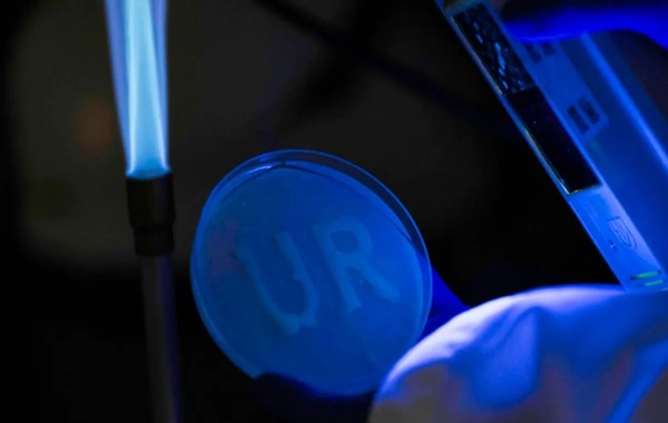 Students create 3D-bioprinting system to replicate chemicals in plants