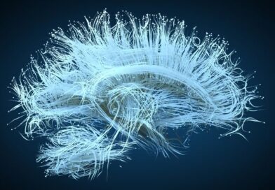 Hafıza Teknolojisinde Devrim: Beyin Protezi Anıları Yeniden Canlandırıyor