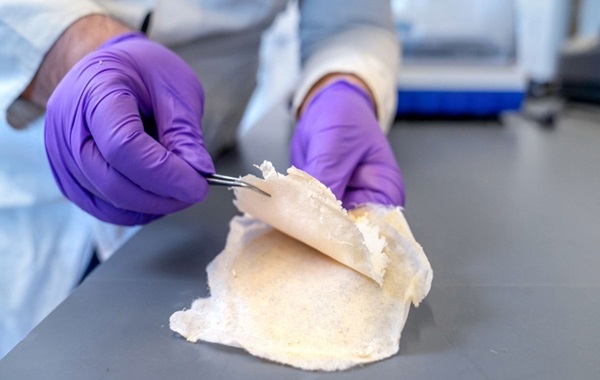 Nanofiber cotton bandages combat infections and boost wound healing