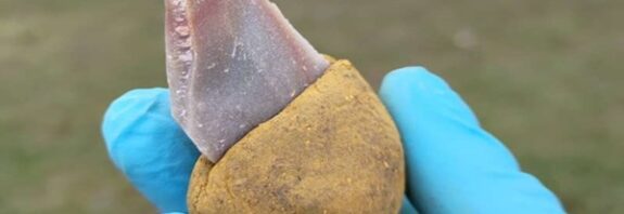 Avrupa'nın Unutulmuş Hikayesi: Neandertallerin Yapıştırıcı Kullanımı Nasıl Keşfedildi