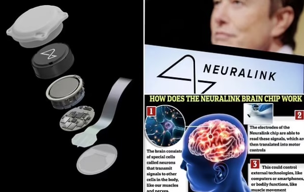 Elon Musk says first human patient implanted with a Neuralink brain-chip is moving a 'mouse around the screen just by thinking' after making a 'full recovery'