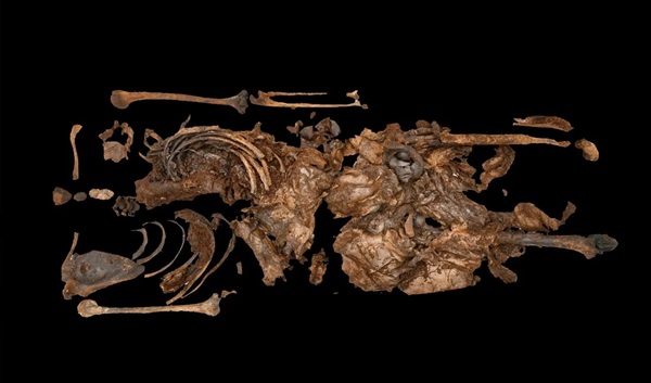 Tarihin Sırları Ortaya Çıktı: 2.000 Yıllık Bataklık Cesedi Bulundu