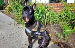 Kanser Nedeniyle Çenesi