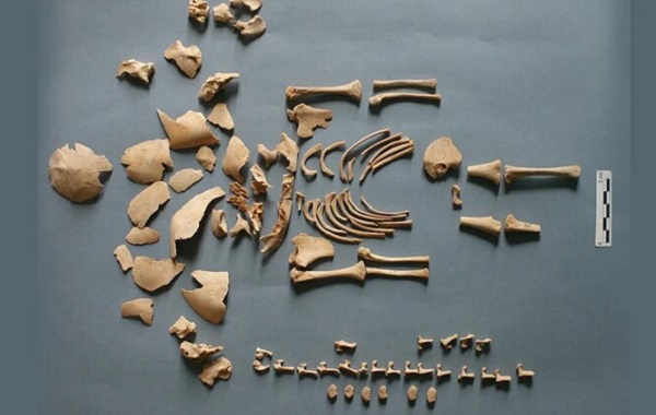 DNA Analiziyle Down ve Edwards Sendromlu Antik Çocuklar Bulundu