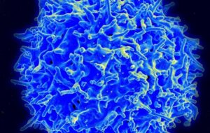 Kritik Hastalıklara Karşı Yeni Kalkan: CRISPR-Cas9 ile Gen Tedavisi Yolda