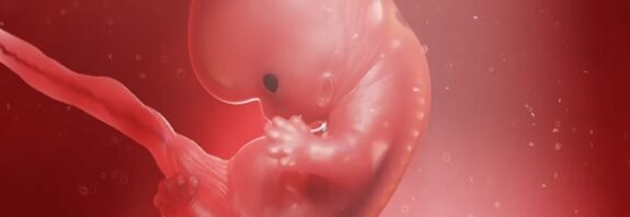 Dünyada Bir İlk Olarak İnsan Amniyotik Sıvısından "Mini Organlar" Yetiştirildi