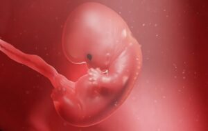 “Mini Organs” Grown From Human Amniotic Fluid In World First