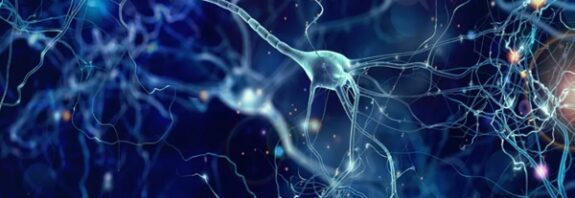 Nörolojik Rahatsızlıklar