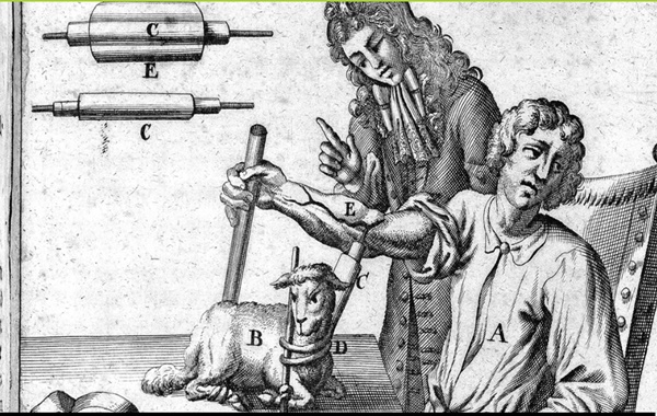 Türler Arası Organ