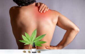 There’s No Evidence That CBD Works For Chronic Pain
