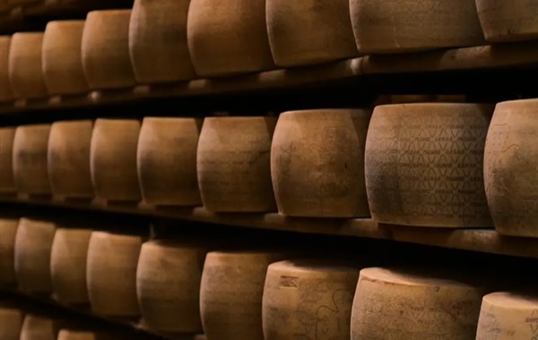 Dünyanın En Eski Peyniri