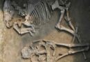 Avar İmparatorluğunun DNA Haritası: Bin Yıl Öncesinin Sırları Açığa Çıkıyor