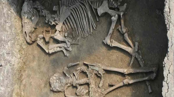 Avar İmparatorluğunun DNA Haritası: Bin Yıl Öncesinin Sırları Açığa Çıkıyor