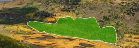 Dünyanın En Büyük Canlısından Kaydedilen Ürkütücü Sesler