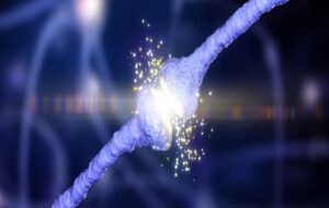 Mysterious 'Zombie Neurons' Unlock Secrets of Learning in The Brain