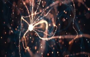 Every New Memory You Make Causes Damage to Your Brain Cells