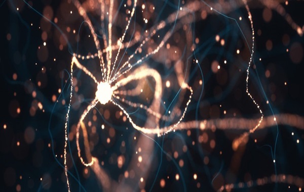 Every New Memory You Make Causes Damage to Your Brain Cells