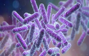 Uluslararası Uzay İstasyonundaki