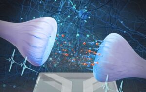 First experimental proof for brain-like computer with water and salt