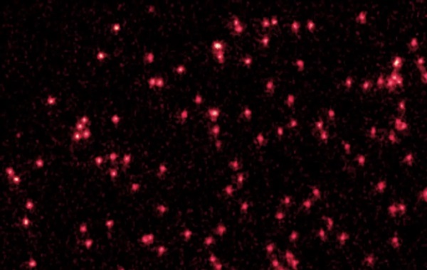 First-Of-Its-Kind Image Shows Single Lithium Atoms Turning Into Quantum Waves