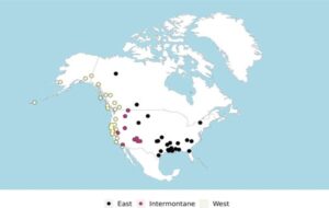 First languages of North America traced back to two very different language groups from Siberia