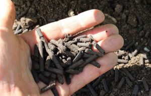 Bilim İnsanları İdrarla Sebze Yetiştirmek İstiyor: Doğal Gübreyi Evde Nasıl Yapabilirsiniz?