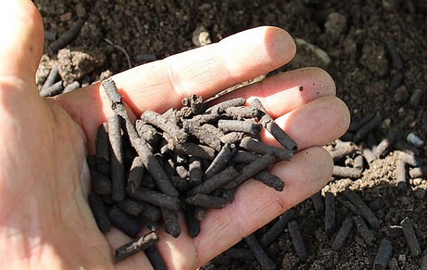 Bilim İnsanları İdrarla Sebze Yetiştirmek İstiyor: Doğal Gübreyi Evde Nasıl Yapabilirsiniz?