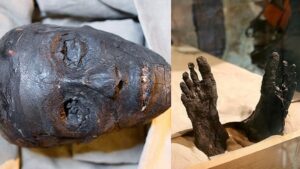 Tutankamon Mezarını Açan Kişileri Öldüren 'Firavun Laneti' Nihayet Çözüldü