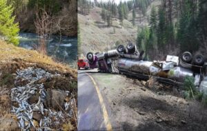 Balık Tankeri Devrildi