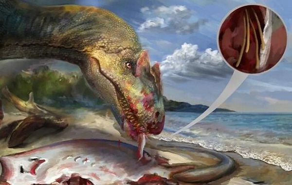 100 Milyon Yıllık Kehribarda İlk Tenya Fosili Bulundu