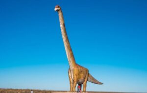 Dünya Üzerinde Yürüyen