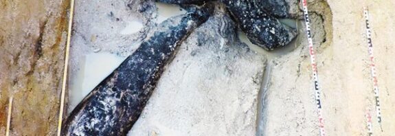 500 Bin Yıllık Ahşap Alet: İnsanlık Tarihini Baştan Yazdıracak Keşif!