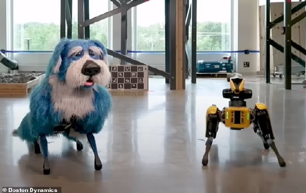 Meet Sparkles! Boston Dynamics' robot dog, Spot, wears a blue sparkly pooch costume as it performs an impressive dance routine - but terrified viewers claim the outfit 'just adds fuel for nightmares'