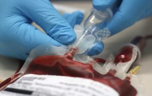 Universal Donor Blood Is A Step Closer Thanks To Enzyme Discovery