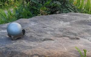 Salyangoz Robotlar Kendi Vücutlarından Yapılar İnşa Edebiliyor