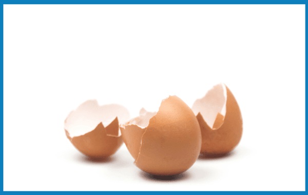 Eggshell can help recover rare earth elements, make process sustainable