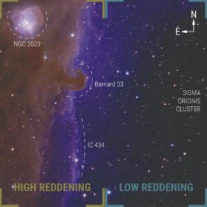 Orion Kuşağı'ndaki Gizemli Gezegenler: Euclid'in Büyük Keşfi