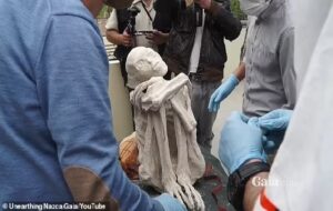 New discoveries about three-fingered 'alien mummy' found in South American cave revealed