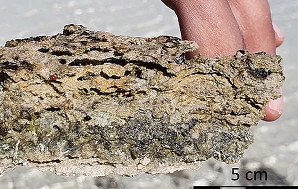 Suudi Arabistan'da 3,5 Milyar Yıllık İlk Yaşam Formları Keşfedildi