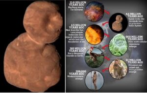 Arrokoth: A World of Possibilities? Sugars Similar to Those in Human Cells Found on Red 'Snowman' Planet