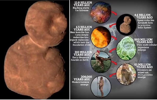 Arrokoth: A World of Possibilities? Sugars Similar to Those in Human Cells Found on Red 'Snowman' Planet