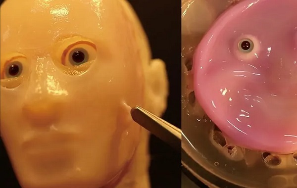 Laboratuvarda Yetiştirilen "Canlı Deri" Bir Robot Yüzüne Bağlandı