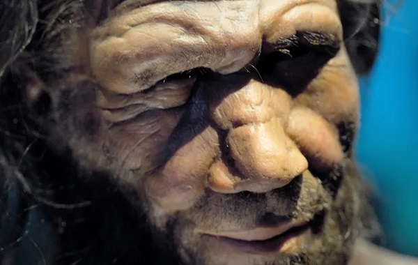 İnsanlar 7.000 Yıl Neandertallerle Melezleşti ve Bu Durum İnsan Genomunda Ciddi İzler Bıraktı