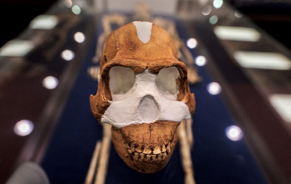 The Oldest Known Burial Site in The World Wasn't Created by Our Species