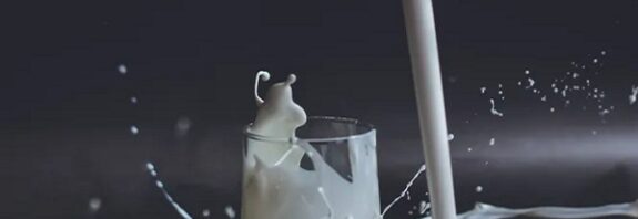 İnsan Vücudu Laktozu Sindirmeyi Neden Öğrenmek Zorunda Kaldı?