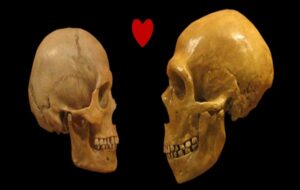 Humans And Neanderthals Had a Longer, More Intertwined Relationship Than We Thought