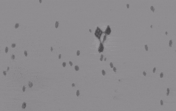 Tahmin Edemeyeceğiniz