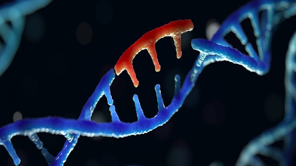 Zombi Virüslerinin Antik Genleri Kanserin Gizli Sürücüleri Olarak Ortaya Çıktı