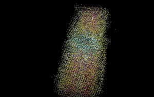 Omurilik Hücre Atlası Yaralanma Sonrası Tedaviye Yardımcı Oluyor