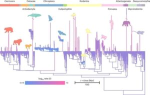 Brain size riddle solved as humans exceed evolutionary trend